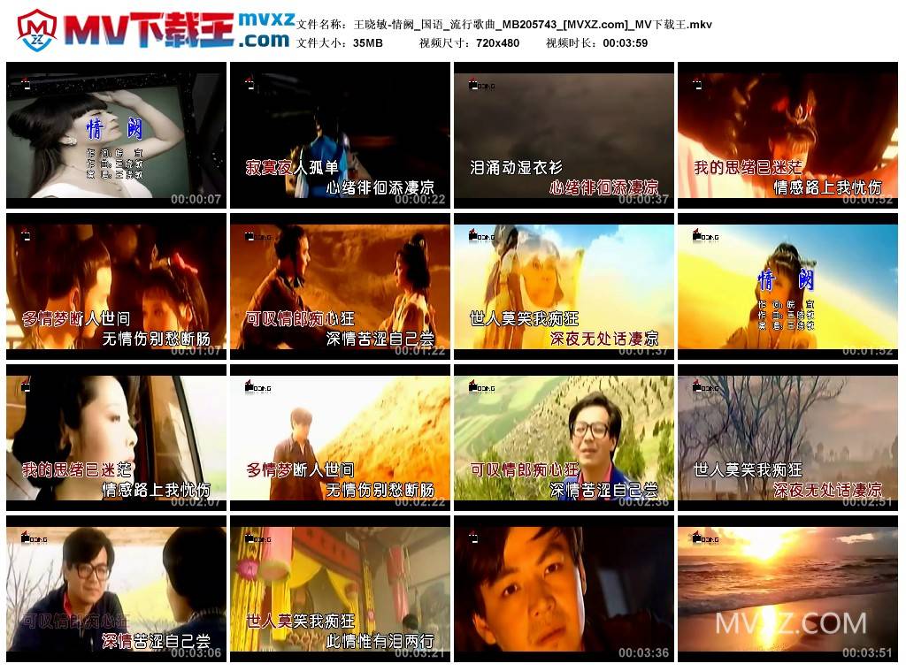 王晓敏-情阙_国语_流行歌曲_MB205743